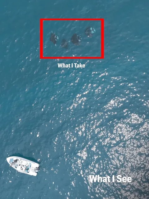 Photographer Shows His POV vs The Photos He Takes.