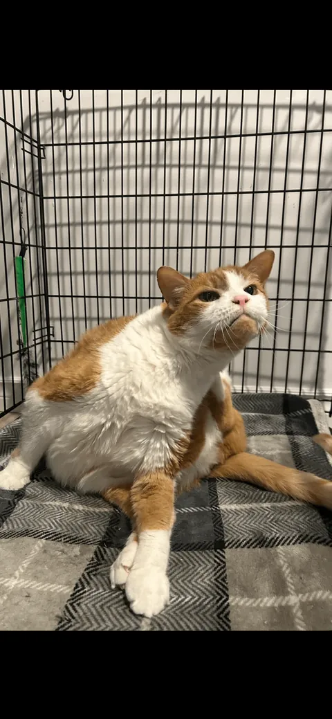 Our old man George 🌈