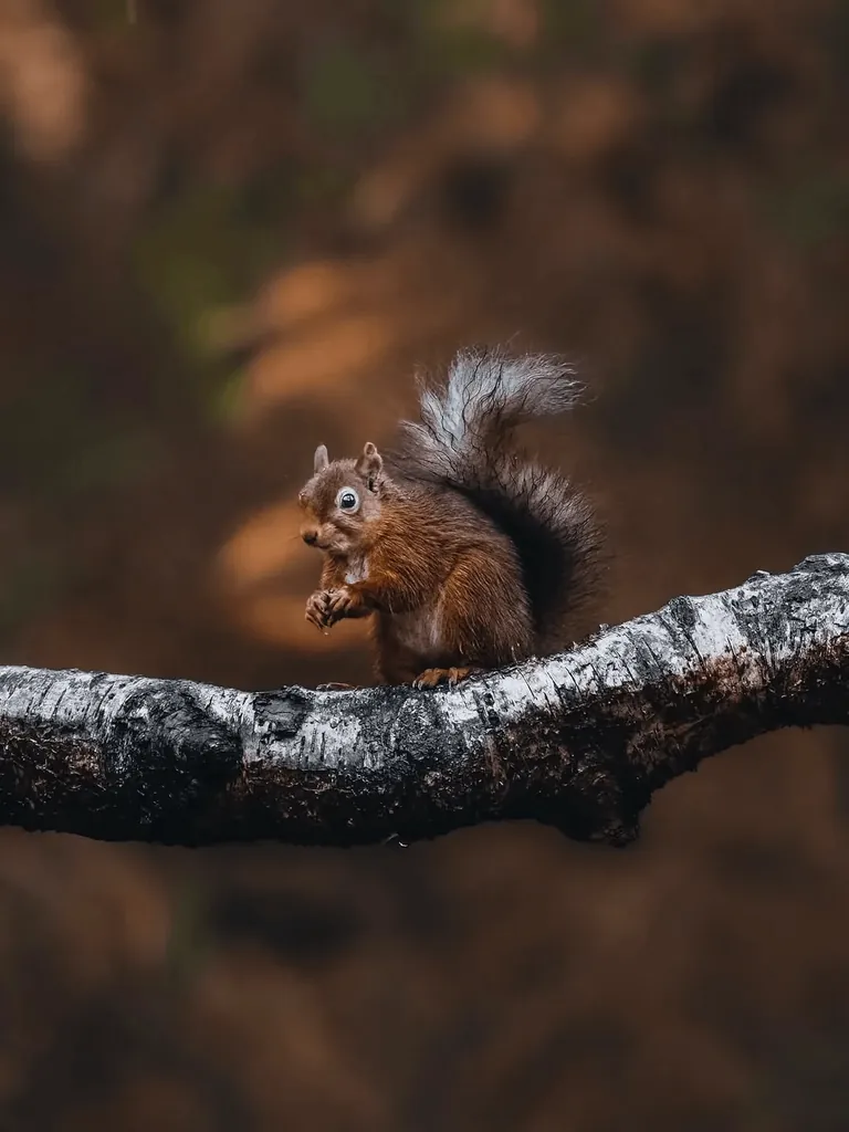 Photographer Shows His POV vs The Photos He Takes.