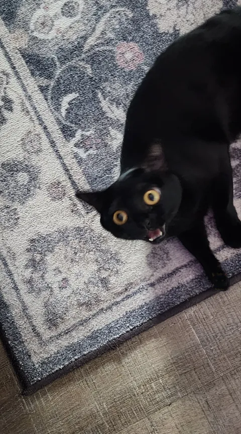 Mini meltdown for scratchies