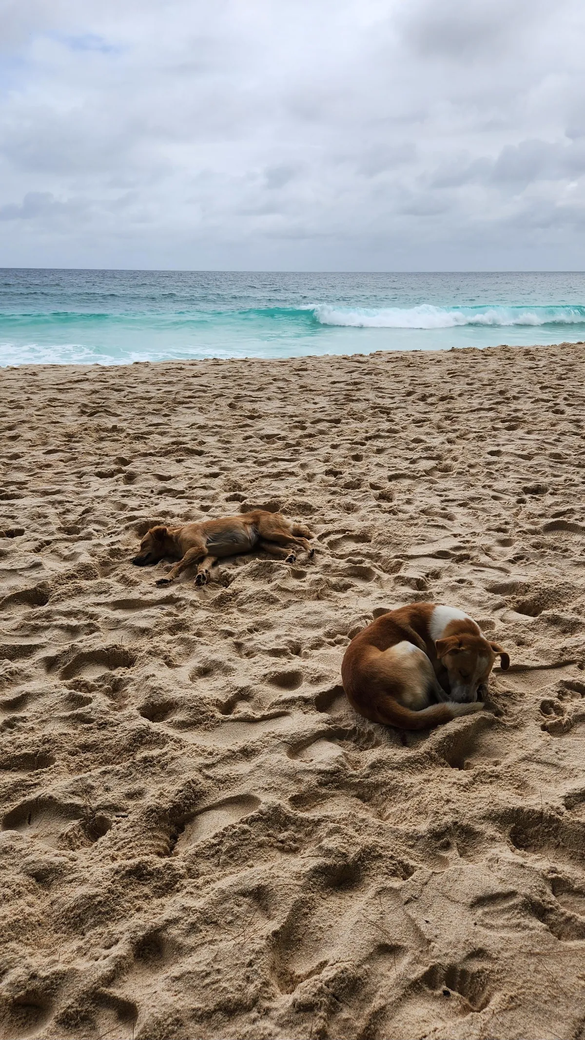 10 days in Seychelles