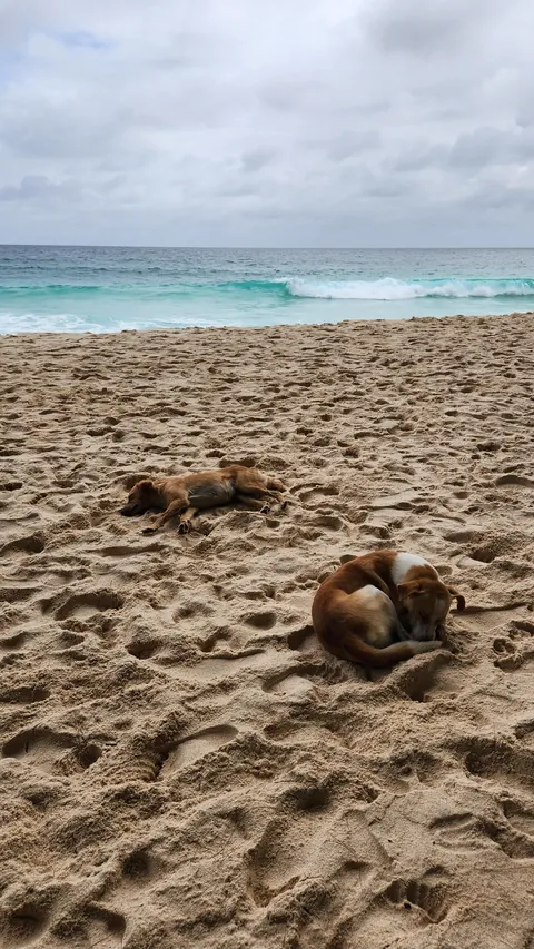 10 days in Seychelles