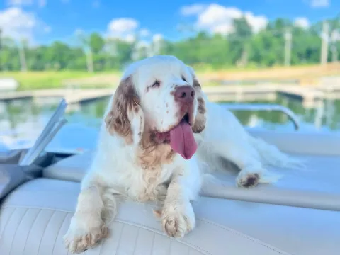 HAPPY BIRTHDAY HELGA! Today our sweet girl turns 6! 💕