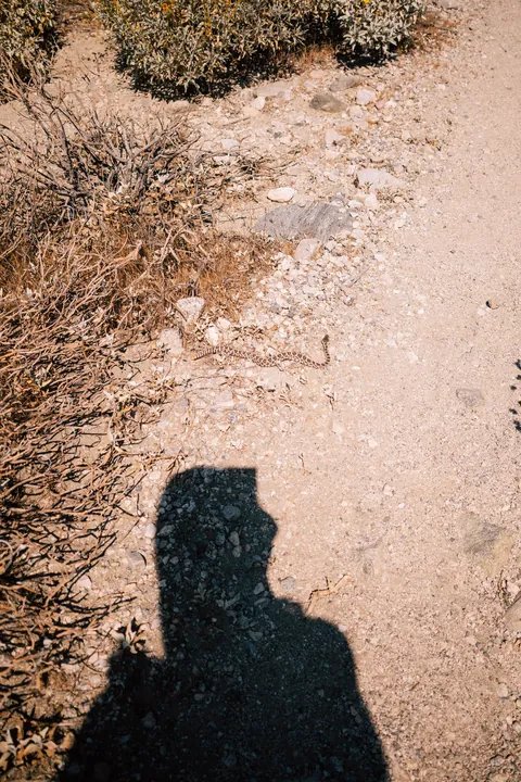 I hiked 2650 miles from Mexico to Canada on the Pacific Crest Trail