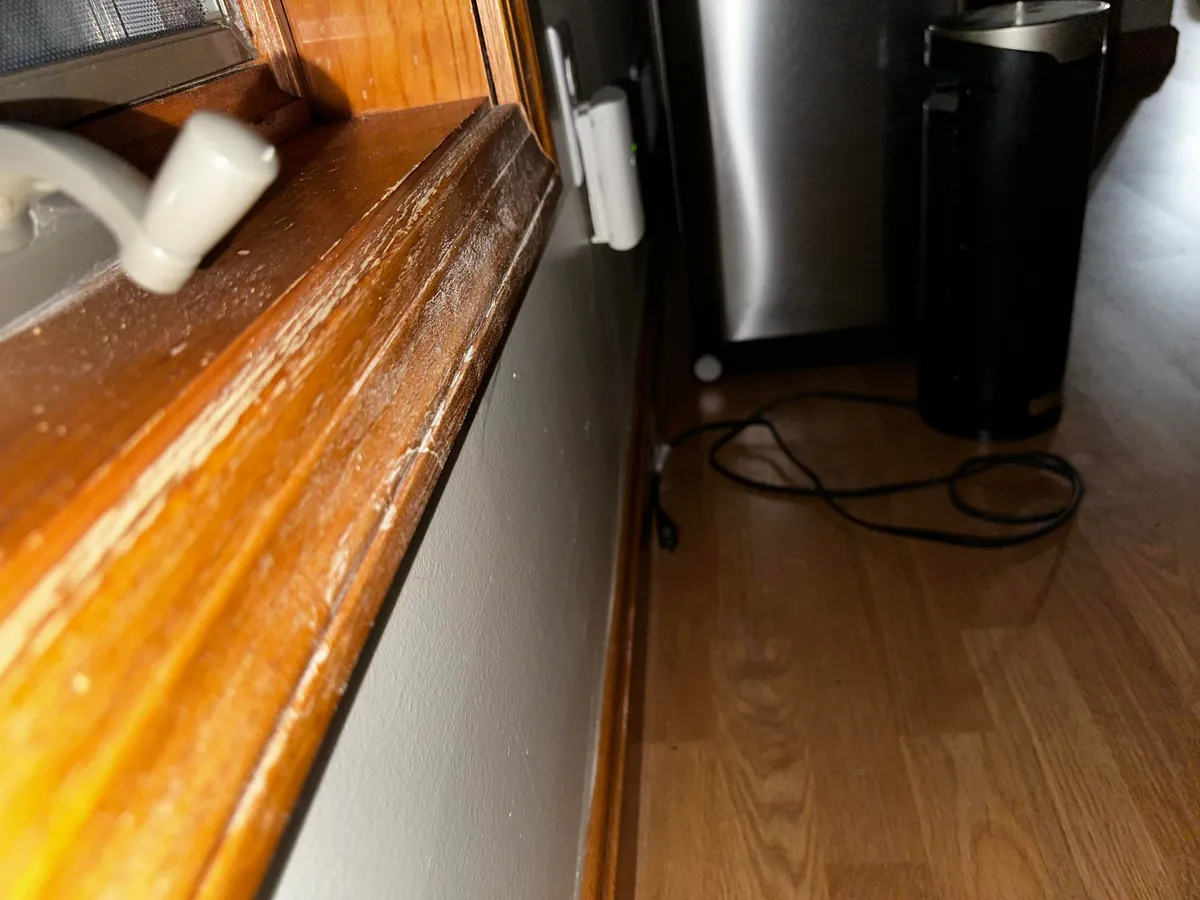 Moved into our “dream home” before closing… to discover it’s a moldy nightmare
