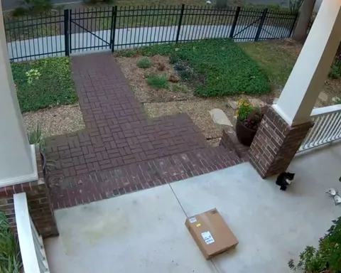 Loss Prevention Officer