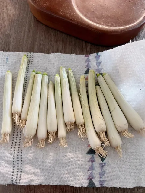 My green onions
