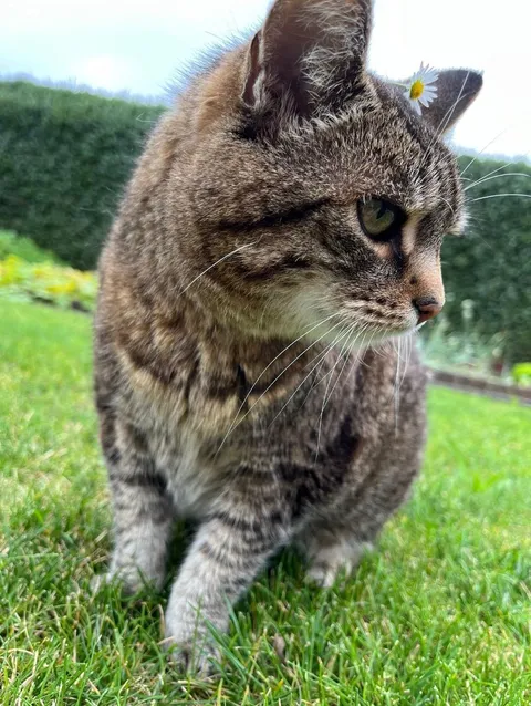 My little flower queen🌸