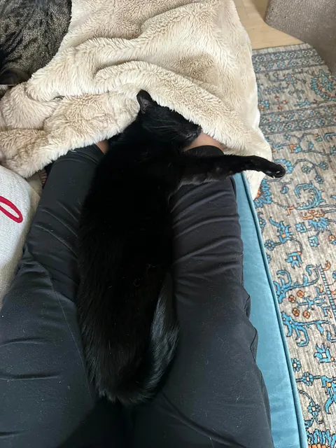 We’re saying goodbye to this icon tomorrow.