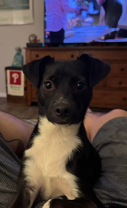 She’s just a bebe 🤍🖤