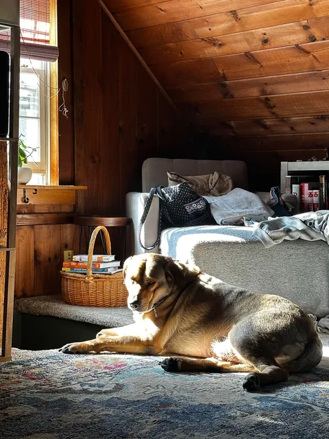 i big lazy baby until i hears ‘hike’