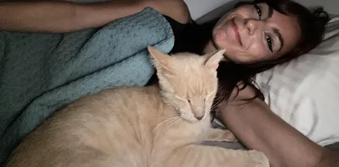 Cat followed me into my hotel room