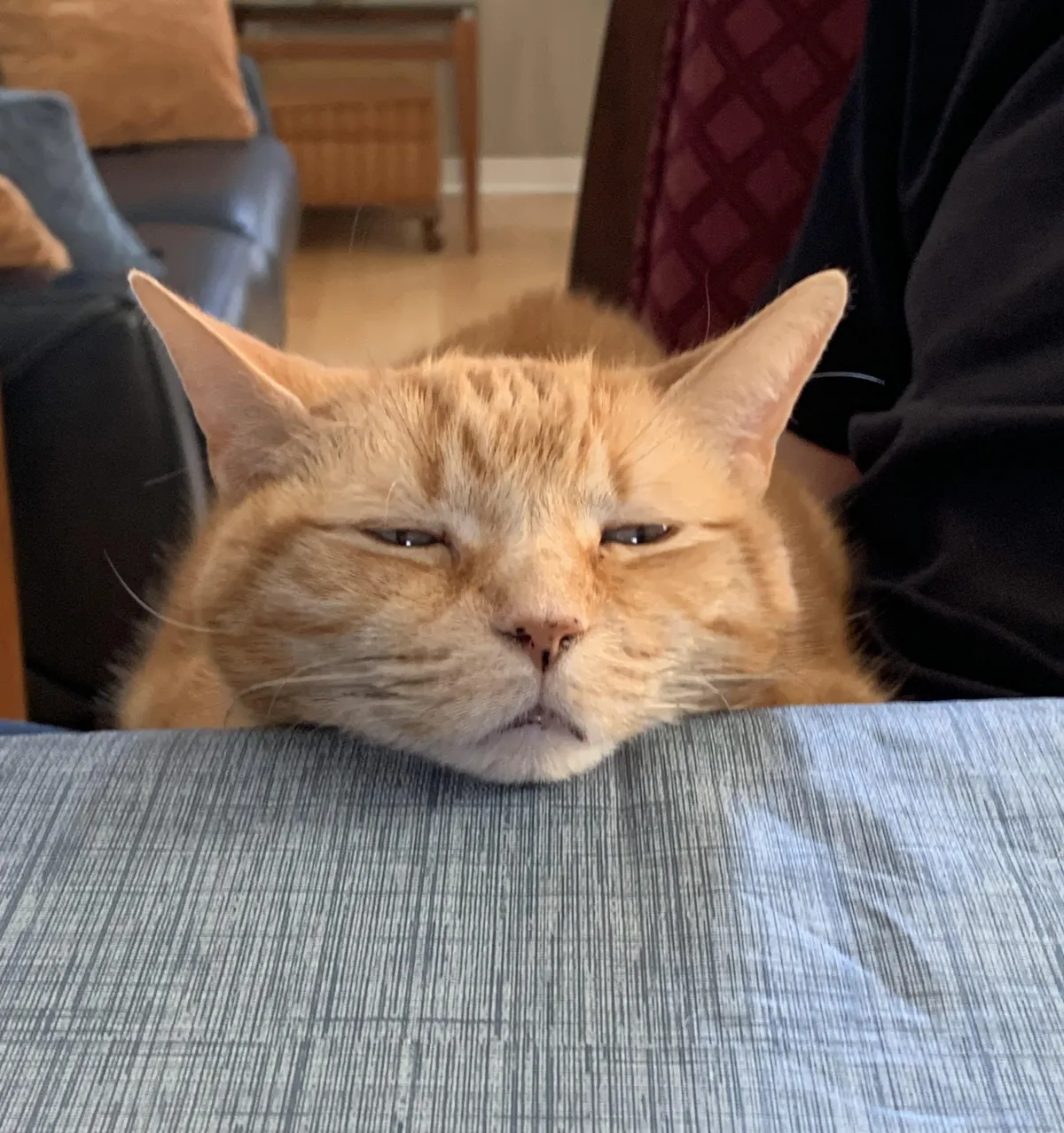 poor baby only slept 20 hours yesterday. she’s exhausted