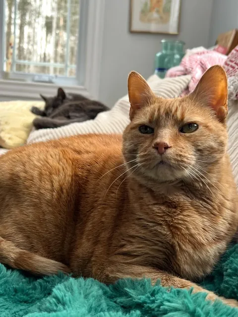 Celebrated his 19th birthday in September.