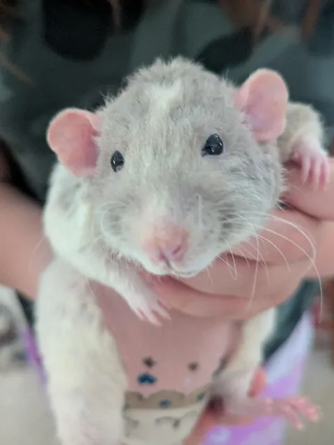 My very good friend JB