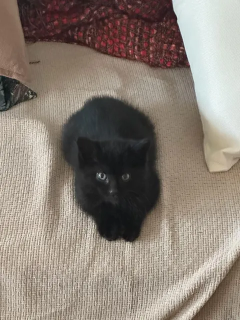 Isn’t he just perfect?? 🥰