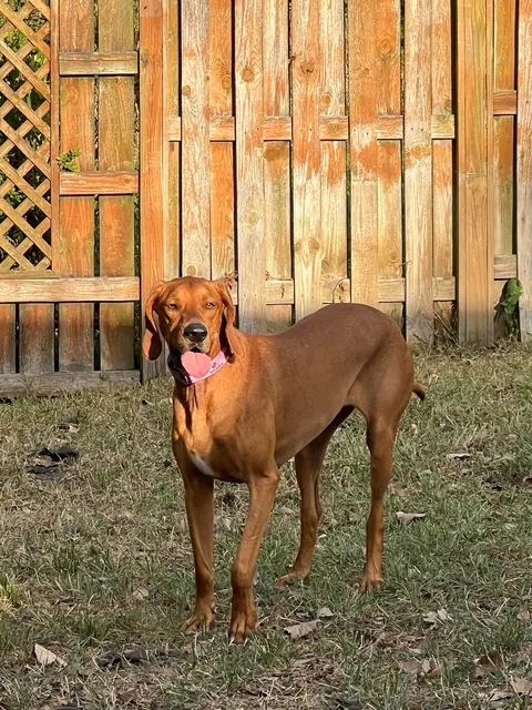 Before and after adoption!