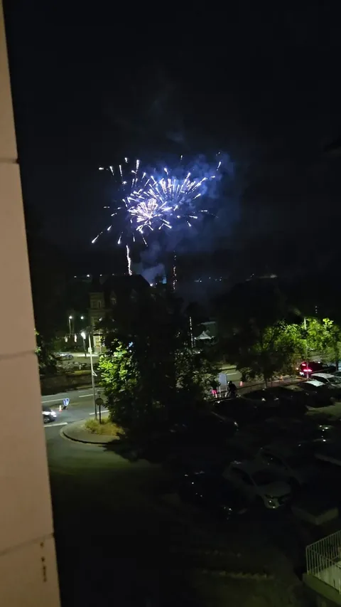 Enjoying the fireworks with my roommate