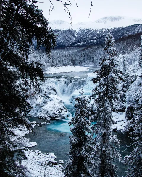 I recently moved to Alaska from Texas. It's a bit different here. [OC] [1536x1920]