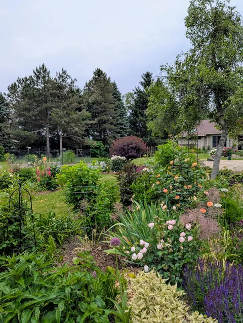 All this was lawn in 2021