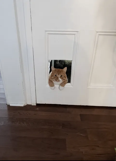 Our little bartender is off duty now, but he gave great service while he was here