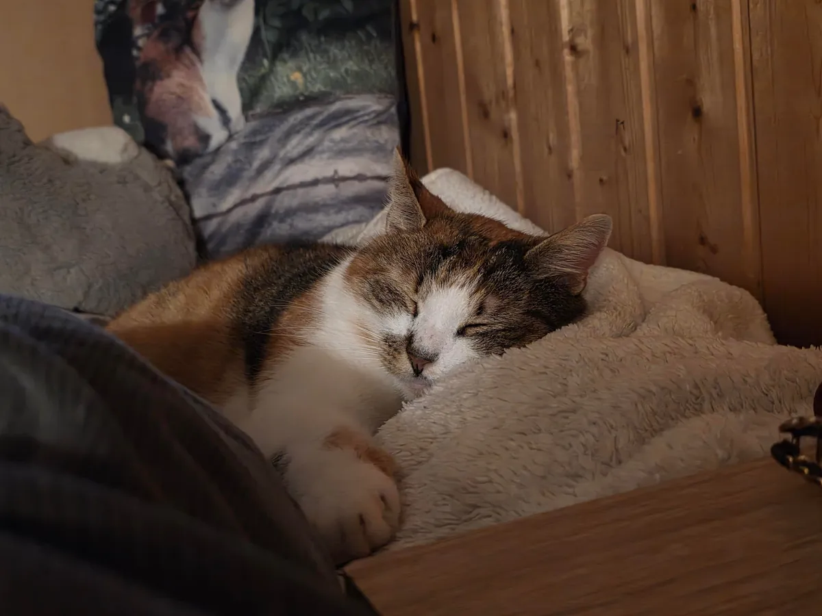 My best friend went missing 9 days ago