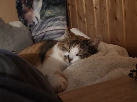 My best friend went missing 9 days ago