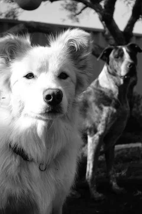 My boy wanted me to show you his "girlfren".. 