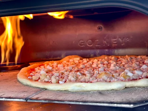 [Homemade] cheese pizza progress