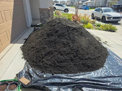 I'm not freaking out you're freaking out