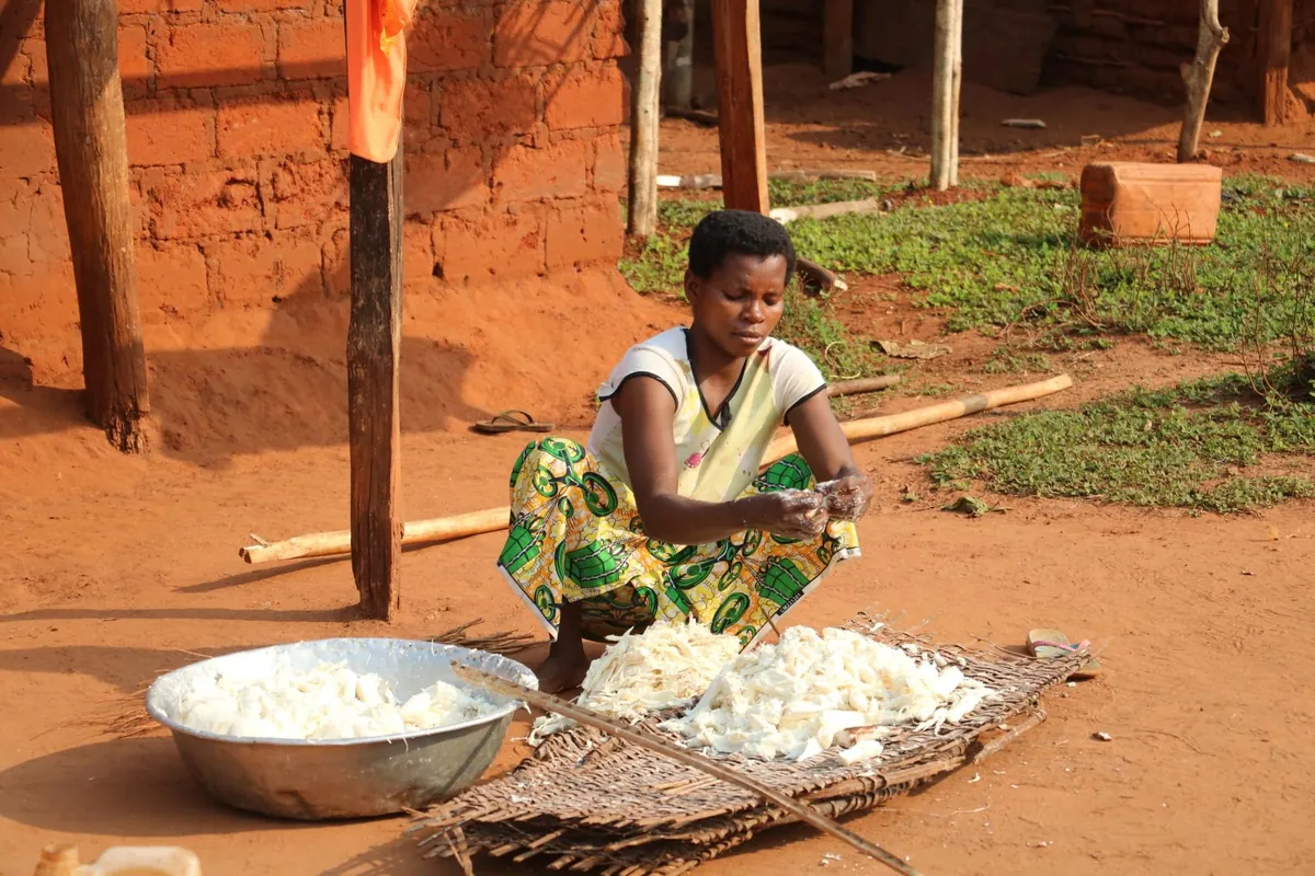 Central African Republic (CAR)