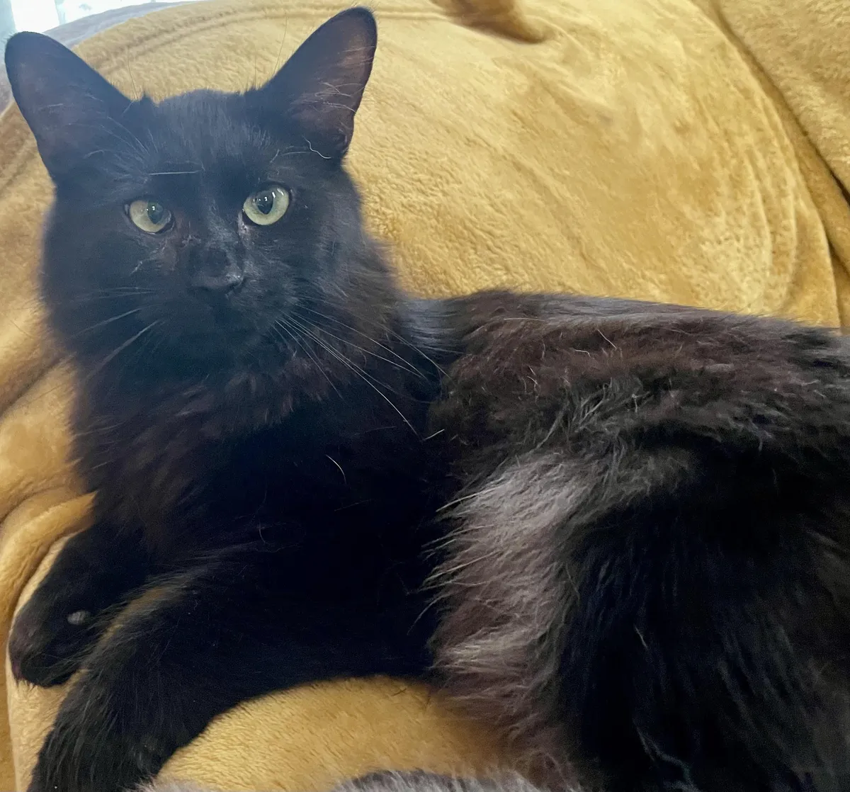 He did it, he finally did it, he sat next to me on the couch !!!! Happy Tears