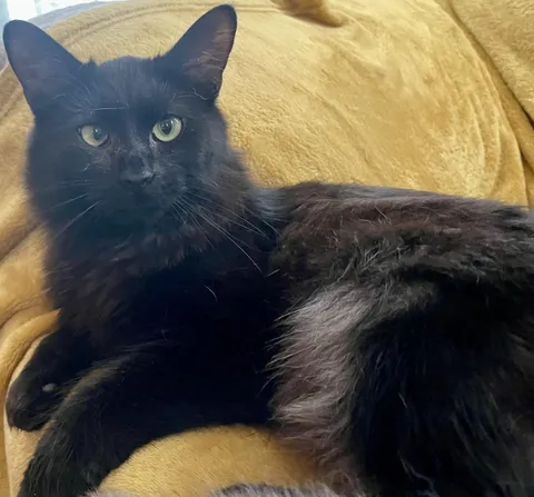 He did it, he finally did it, he sat next to me on the couch !!!! Happy Tears