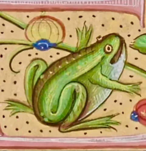 What client asked for vs what she got