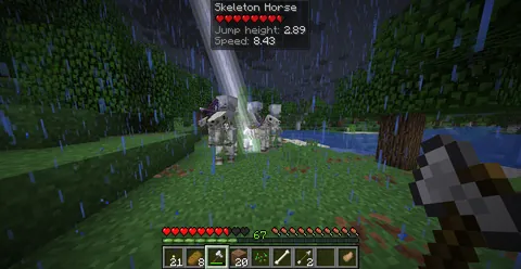 "what a cool skeleton horse". this is evil. why would you do this to me