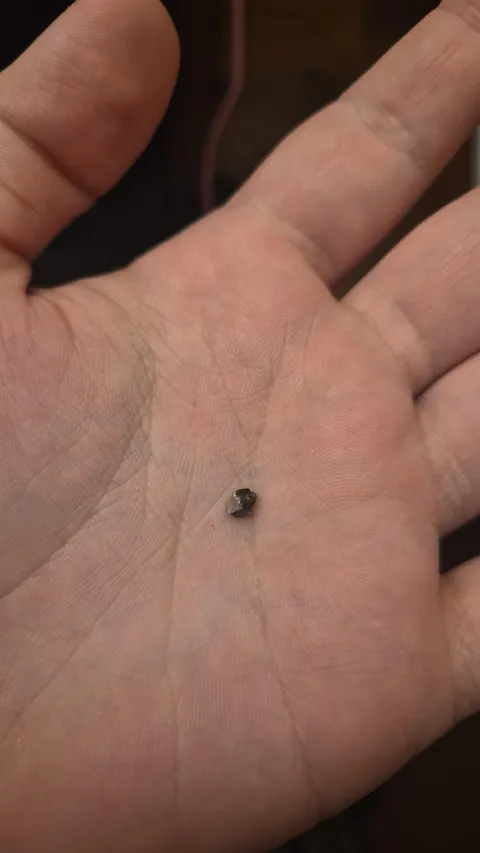 We bought premade pillsbury cookie dough to make for Thanksgiving...we found shards of metal in them.