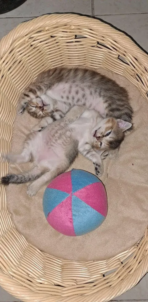 Milk drunk cuties 😂