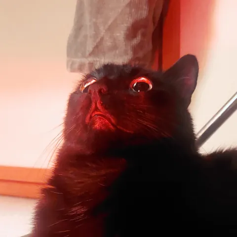 Upstairs noise detected!