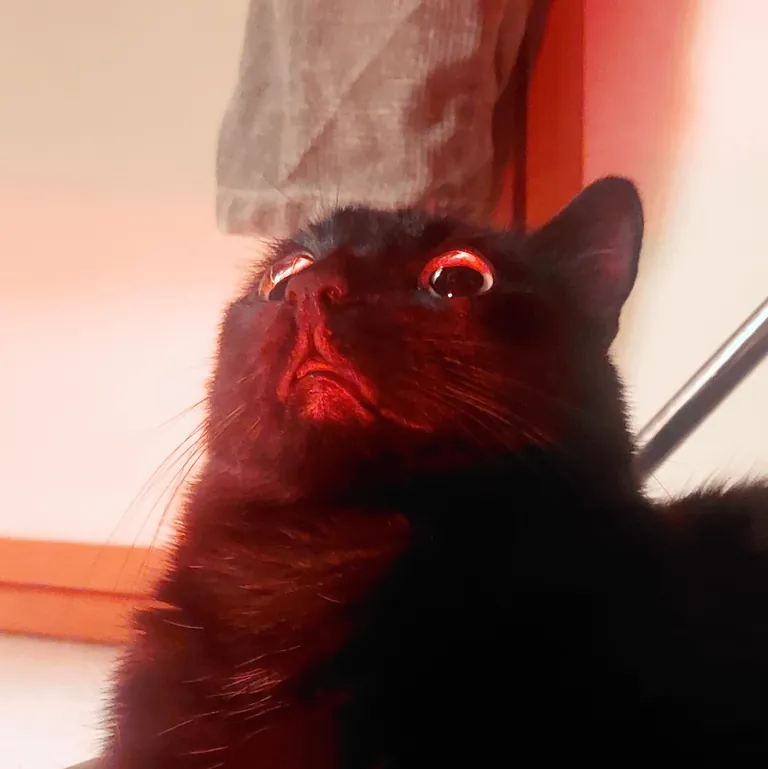 Upstairs noise detected!