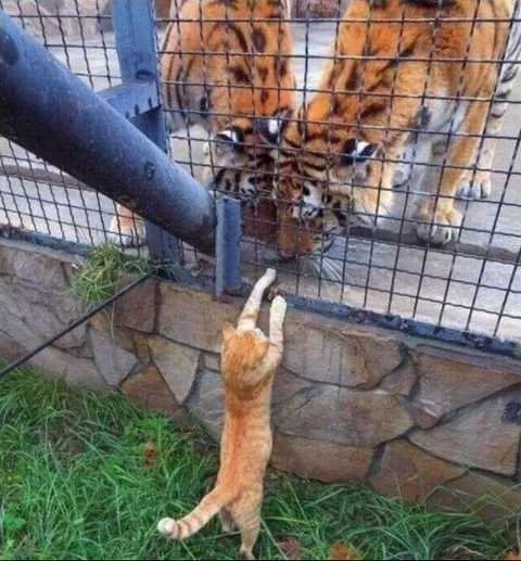 "Brothers! help me enslave humanity."