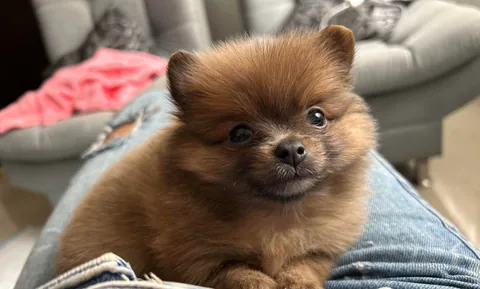 That sweet gaze from the first moment we met