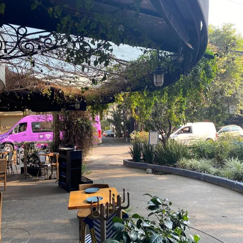 Mexico City had the Lushest, Greenest, Most Beautiful Neighborhoods I've Ever Seen