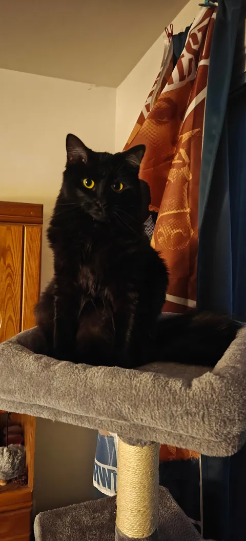 She just entered my life 🖤