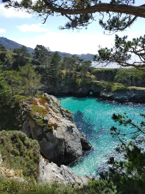 Point Lobos State Natural Reserve, Carmel-by-the-sea, California USA. OC, 4624x3468