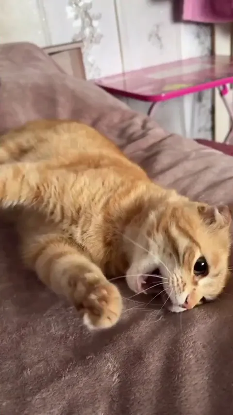 He accepted his fate