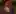 Sit [FM] (oxfort2199)
