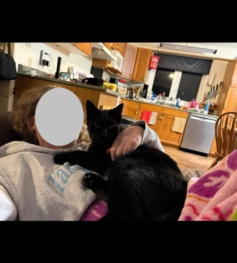 Toblerone was returned to the shelter for being “too needy”, but we love his neediness🖤