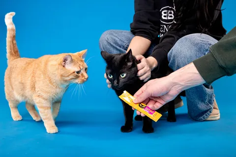 She got her photos taken professionally for charity!