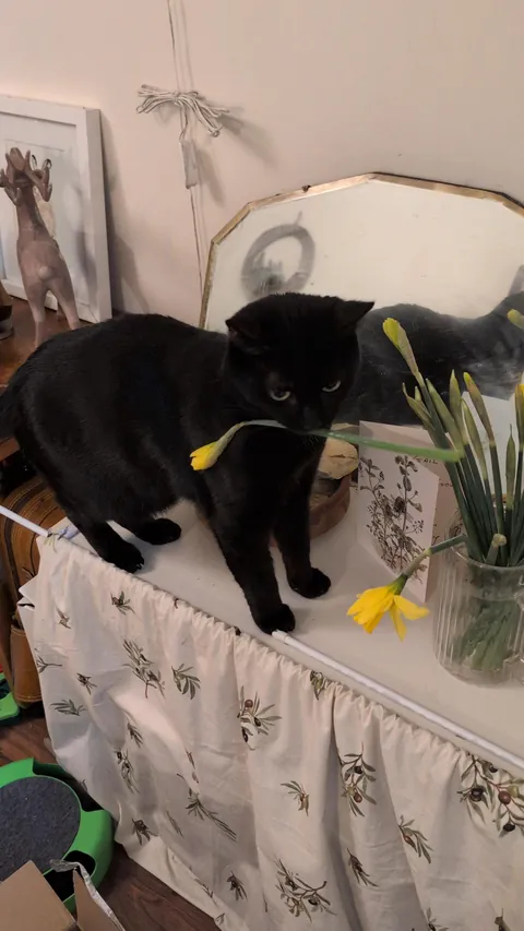 Who says romance is dead?