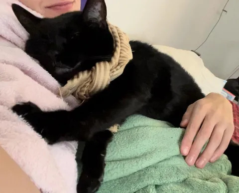 This morning I discovered I was having a miscarriage. Emma has been snuggling with me for 2 hours now. 